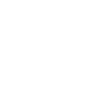 invertebrados